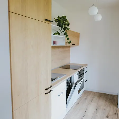 Apartman U Pivovarku Apartment *